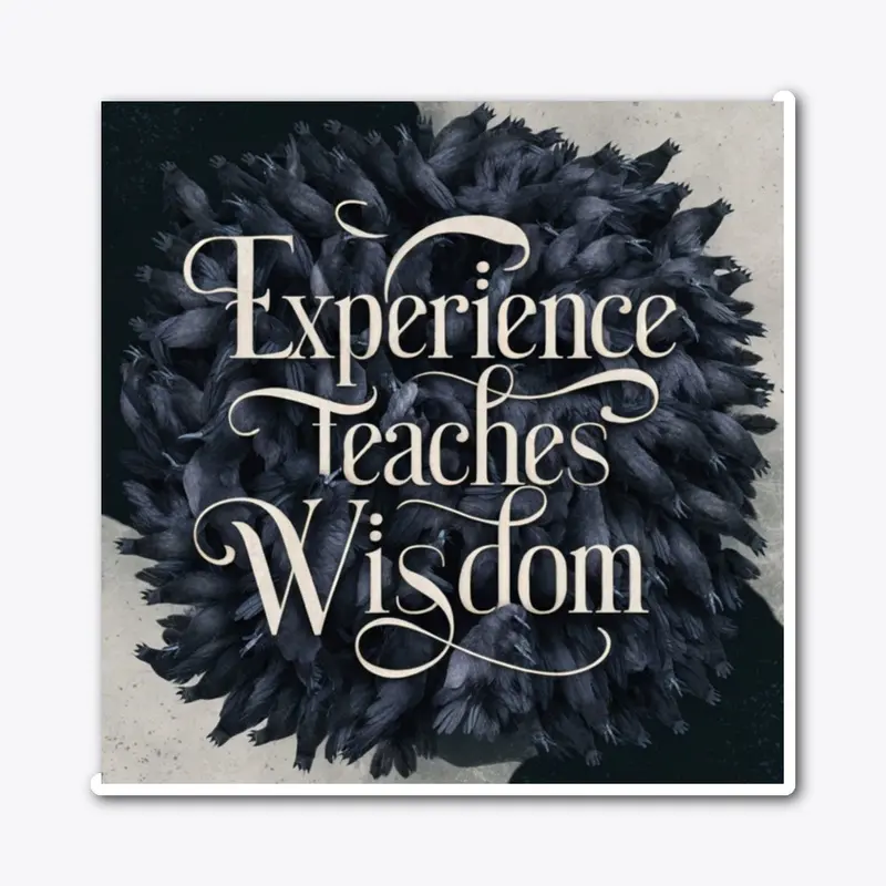 Experience Teaches Wisdom