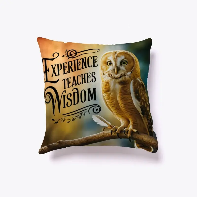  Experience Teaches Wisdom