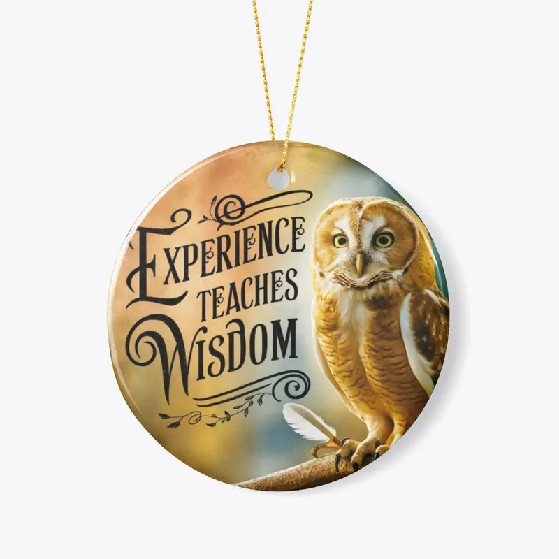  Experience Teaches Wisdom