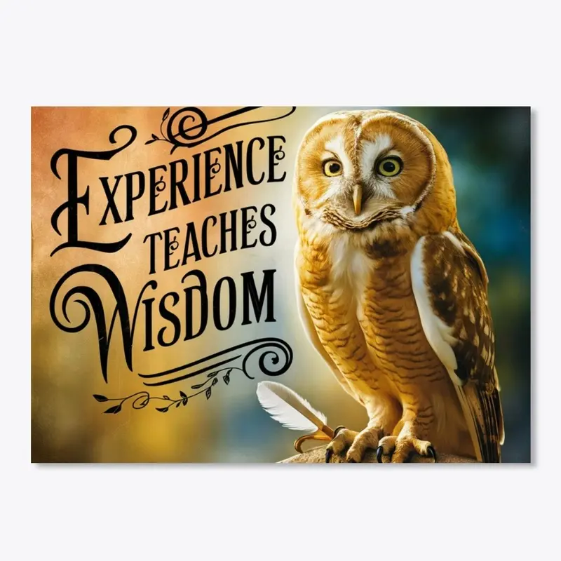  Experience Teaches Wisdom