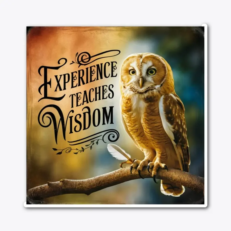  Experience Teaches Wisdom